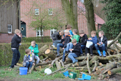 Kartoffelpflanzen8