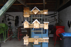 Vogelkaesten