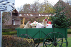 DSC00191